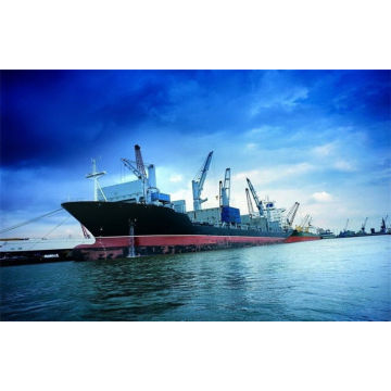 Hk To Australia Ocean Freight Services Forwarder , Ocean Freight Companies